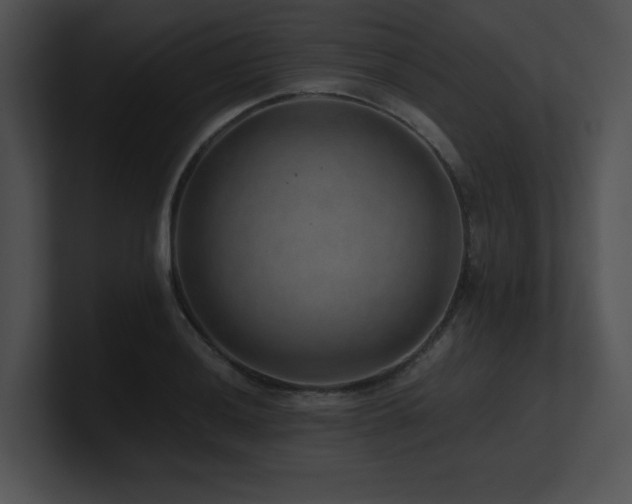X0000100901036200806241248