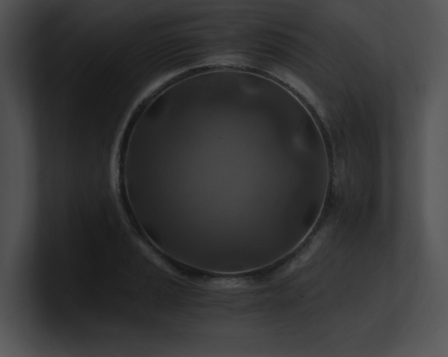 X0000100901037200806241248