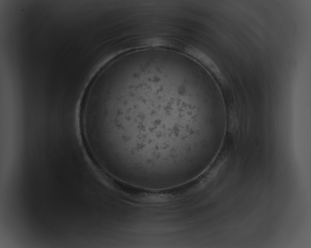 X0000100901039200806241248