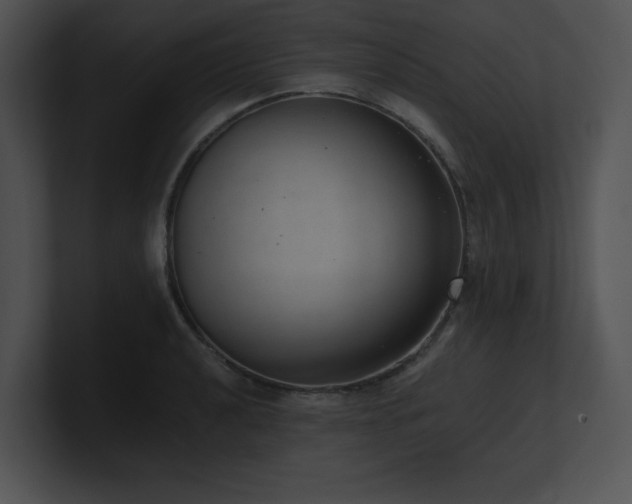 X0000100901040200806241248