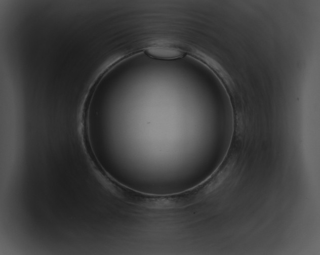X0000100901042200806241248