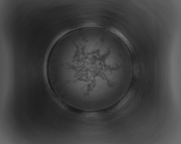 X0000100901043200806241248