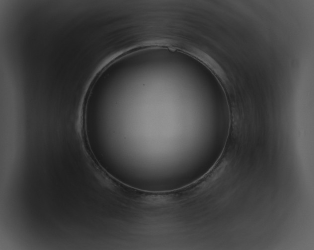 X0000100901044200806241248