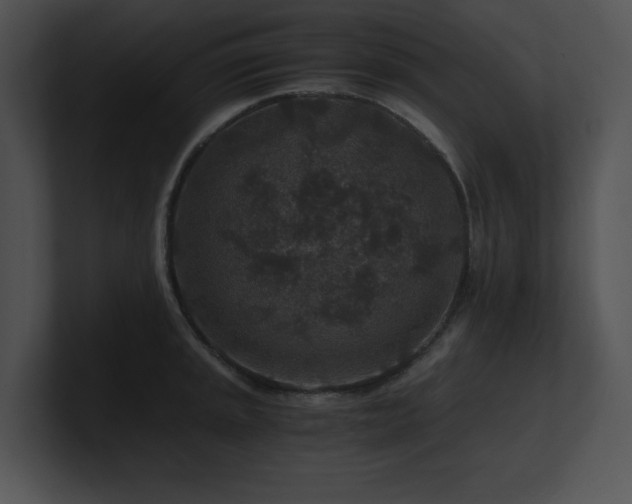 X0000100901045200806241248