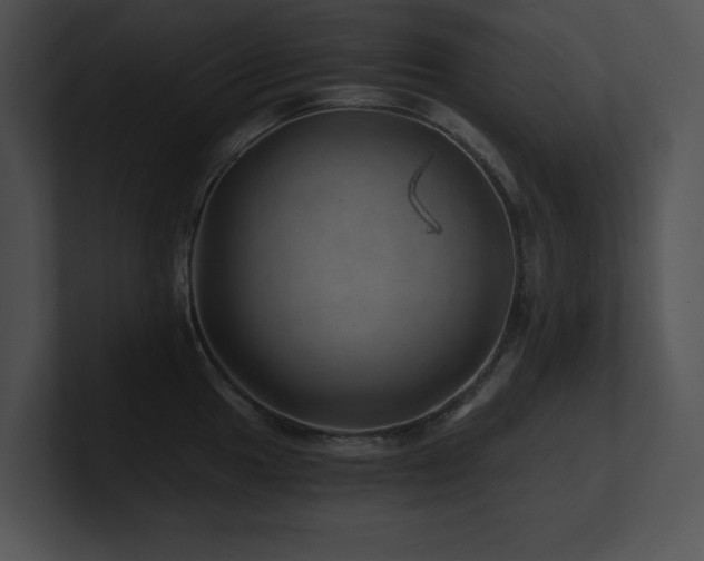 X0000100901049200806241248