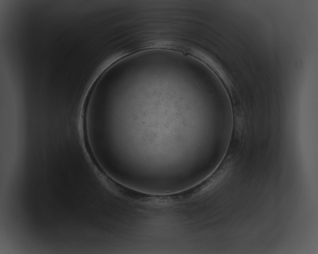 X0000100901050200806241248