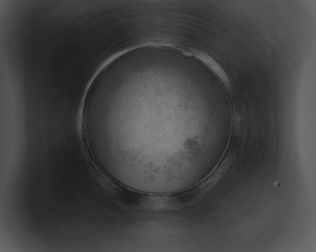 X0000100901052200806241248