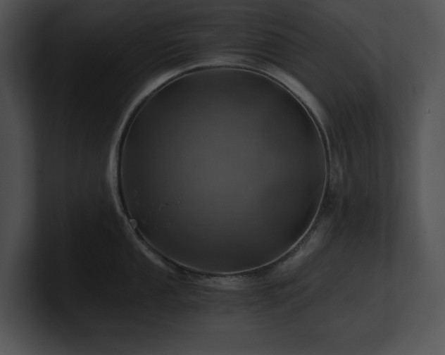 X0000100901053200806241248