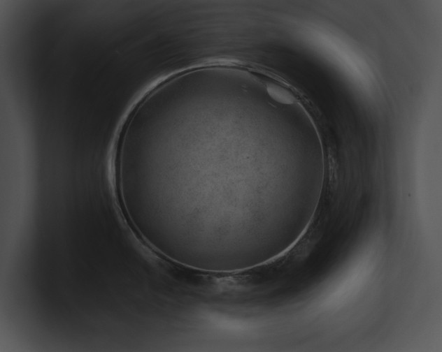 X0000100901054200806241248