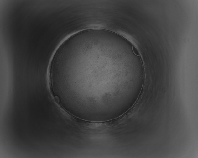 X0000100901056200806241248