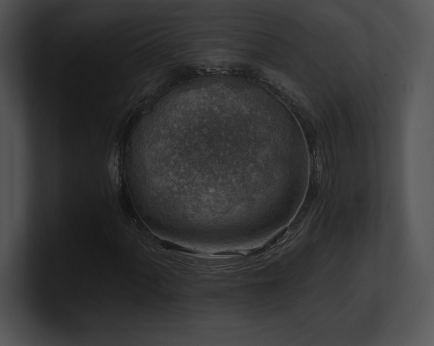 X0000100901060200806241247