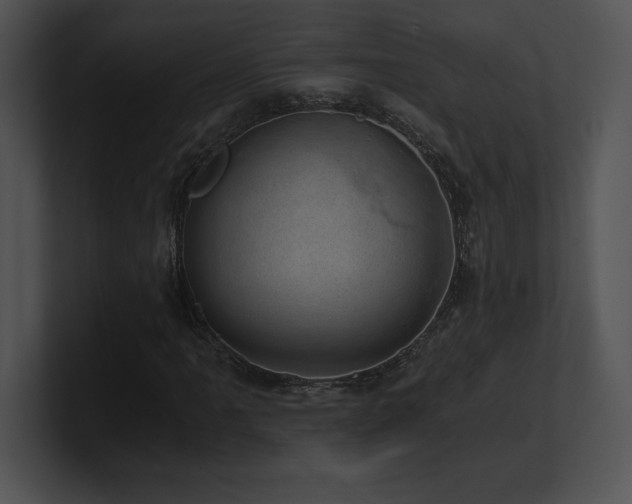 X0000100901061200806241247