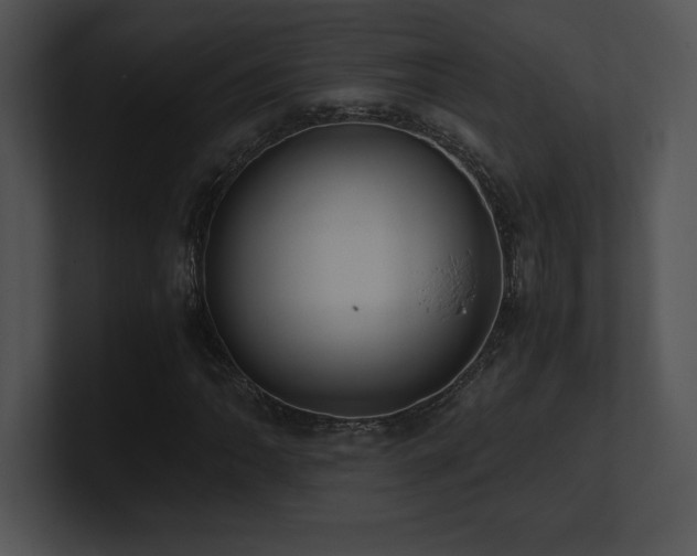 X0000100901062200806241247