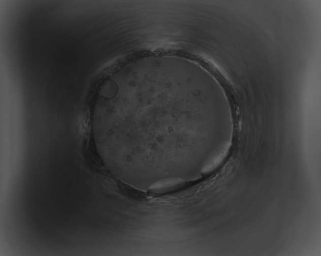 X0000100901063200806241247