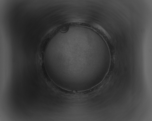 X0000100901064200806241247