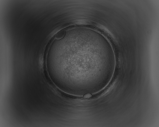 X0000100901065200806241247