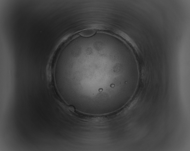 X0000100901067200806241247