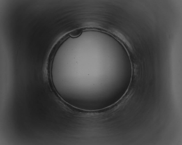 X0000100901068200806241247