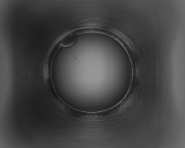 X0000100901069200806241247