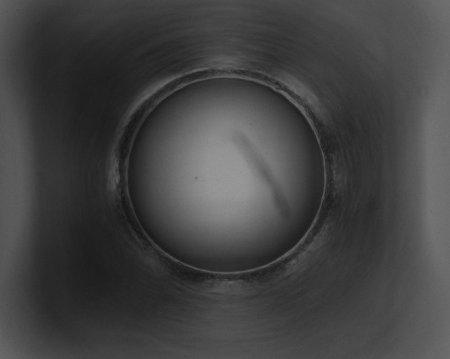 X0000100901070200806241247