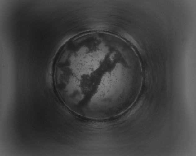 X0000100901071200806241247
