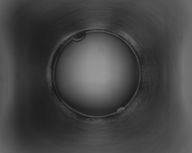 X0000100901072200806241247