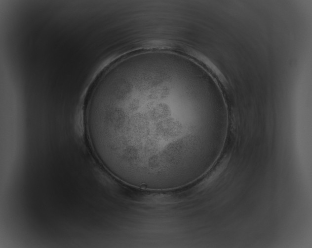 X0000100901075200806241247