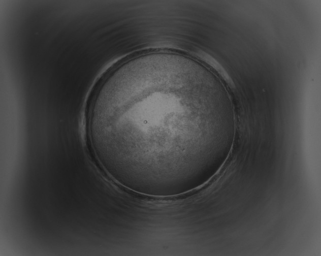X0000100901076200806241247
