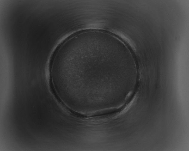 X0000100901077200806241247
