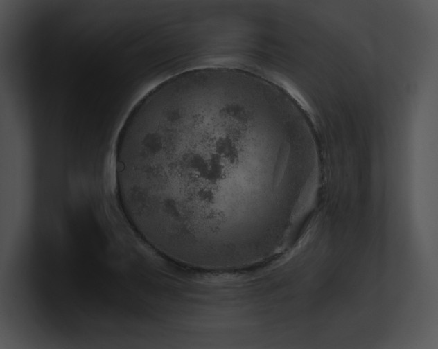 X0000100901079200806241247