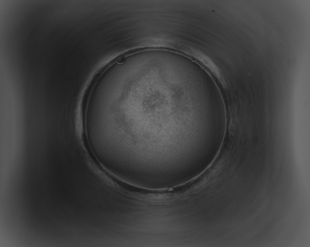 X0000100901080200806241247