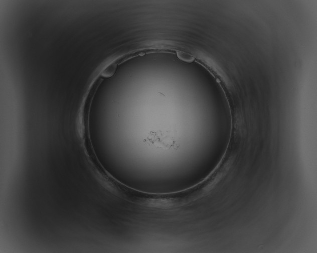 X0000100901082200806241247