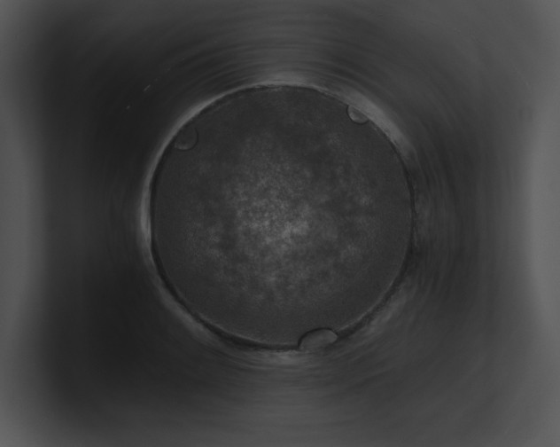 X0000100901084200806241247
