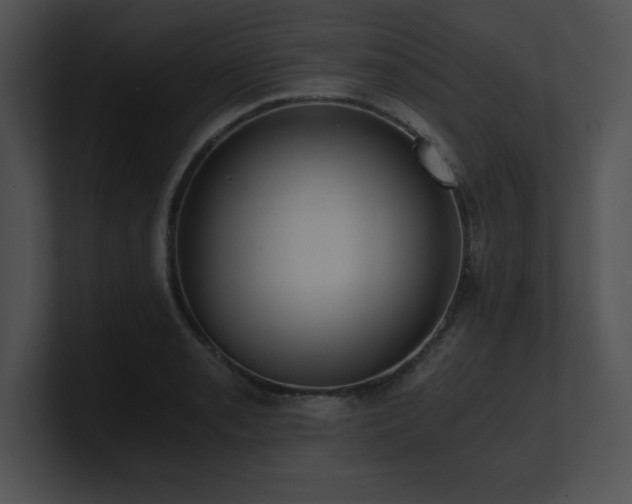 X0000100901085200806241247