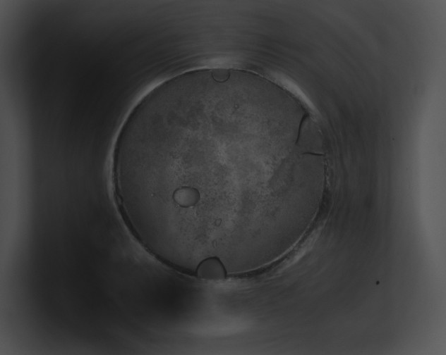X0000100901087200806241247