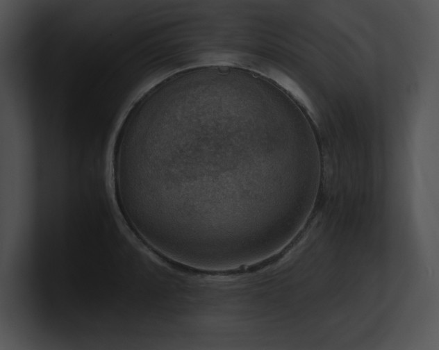 X0000100901088200806241247