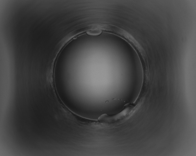 X0000100901089200806241247