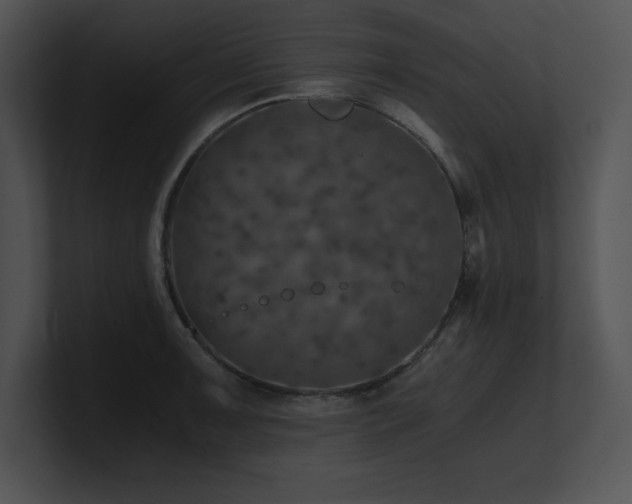 X0000100901091200806241247