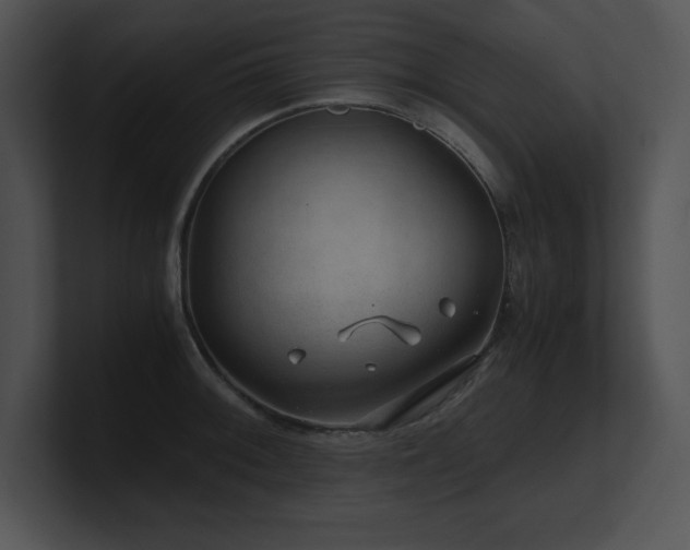 X0000100901092200806241247