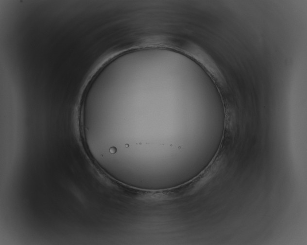 X0000100901094200806241247