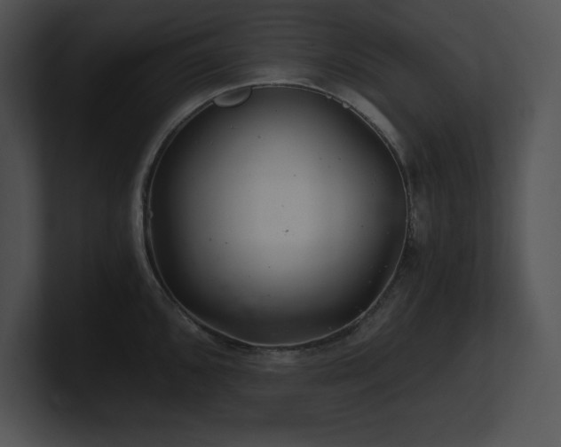 X0000100901096200806241247