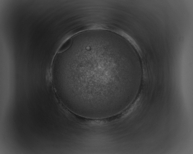 X0000100901097200806241247