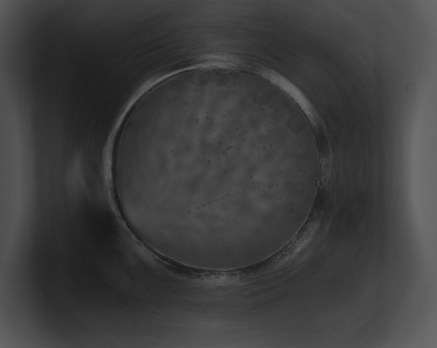 X0000100901099200806241247
