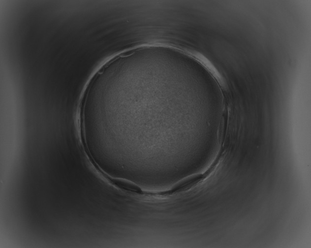 X0000100901100200806241247