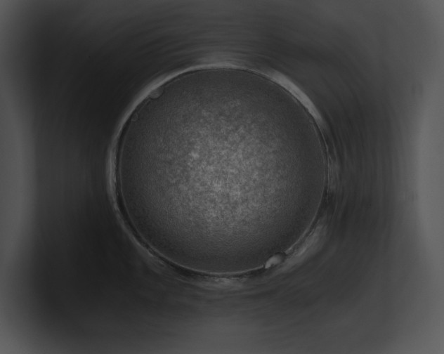X0000100901101200806241247