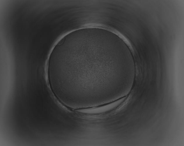 X0000100901102200806241247