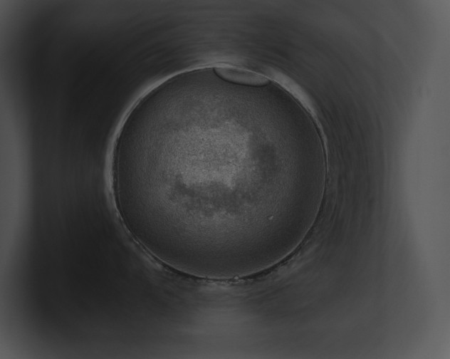 X0000100901104200806241247