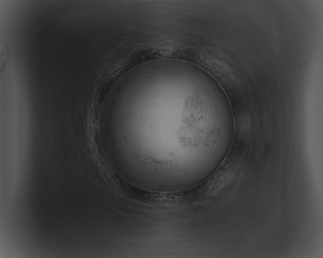 X0000100901105200806241246