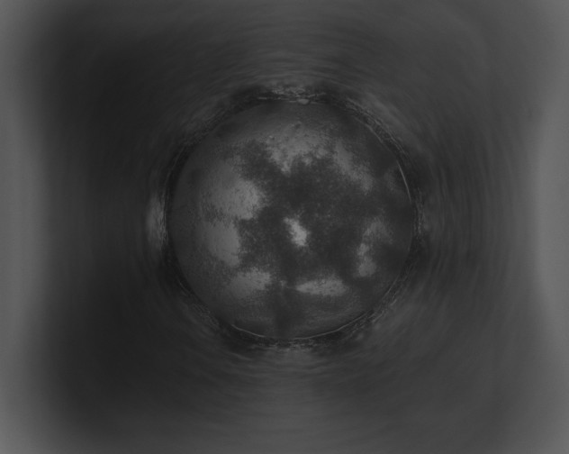 X0000100901106200806241246