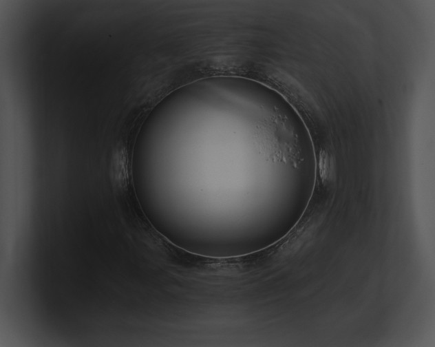X0000100901107200806241246
